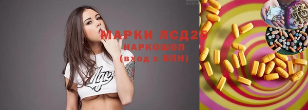 стаф Армянск