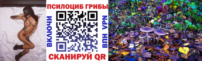 mega ТОР  Байкальск  Псилоцибиновые грибы ЛСД  хочу  